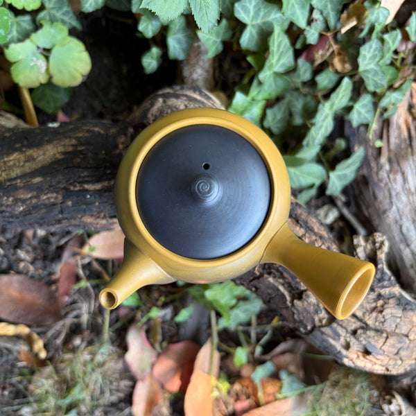 200ml Yellow Black Yōhen Kyusu with sesame filter [Hakusan Kiln]