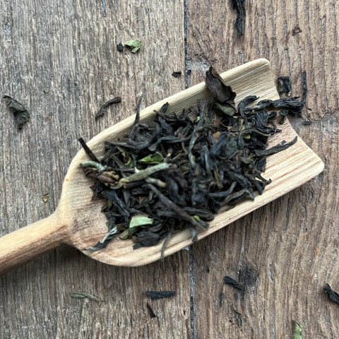 2024 Niroulas First Flush Darjeeling Tea