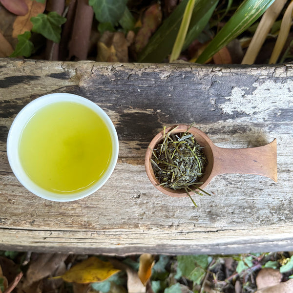 Iizuka Family [Shizouka] High Grade Sencha Fukamushi