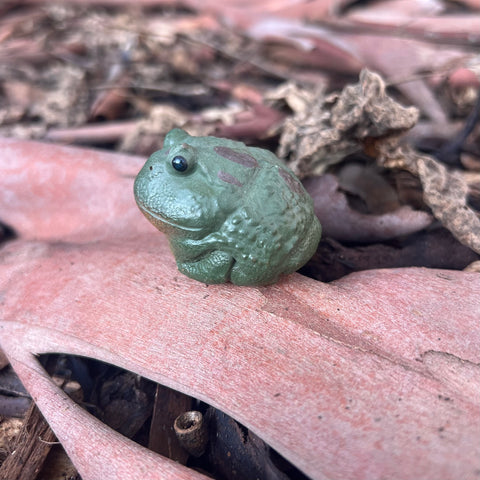 Toad Tea Pet