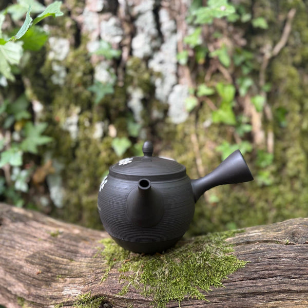 290ml Mount Fuji Sakura Black Shudei [Kokudei] Kyusu with sesame filter [Gyokko Kiln]