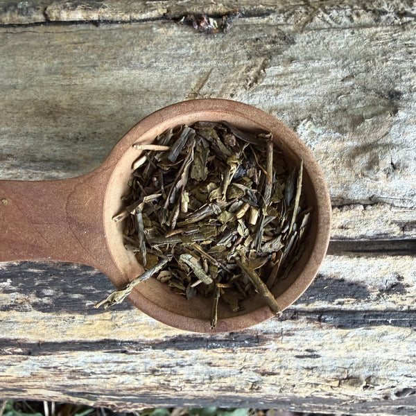Iwasaki Family [Shizouka] Houjicha