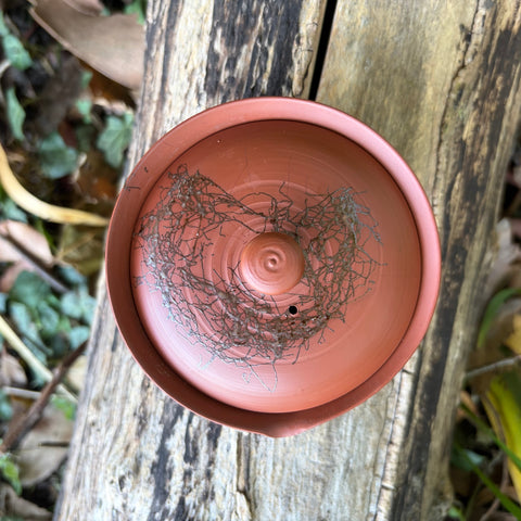 50ml Mogake ”藻掛“ Shudei Shiboridashi [Hakusan Kiln]