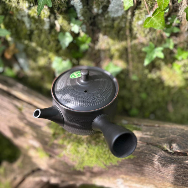 290ml Black Shudei Tobikanna (飛び鉋)/ Bani Kyusu with sesame filter [Gyokuryū Kiln]