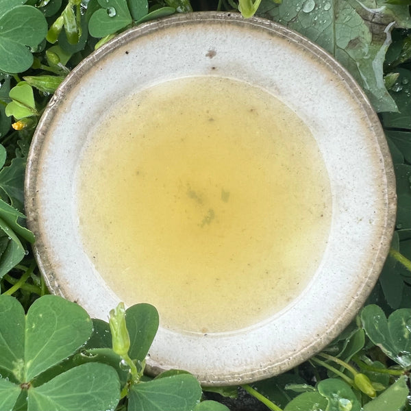 Tokuya’s 2023 Sencha Tea (Okumidori Cultivar)