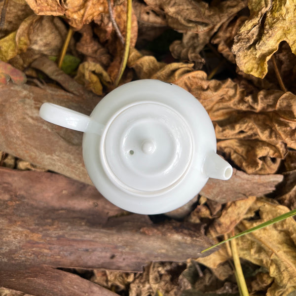 Hand Painted Bird teapot : Huang Xiaokang Jingdezhen