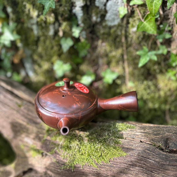 200ml Brown Clay Benishibori Hira-Kyusu [Gyokuryū Kiln]