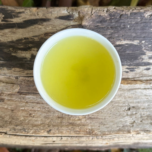 Iizuka Family [Shizouka] High Grade Sencha Fukamushi