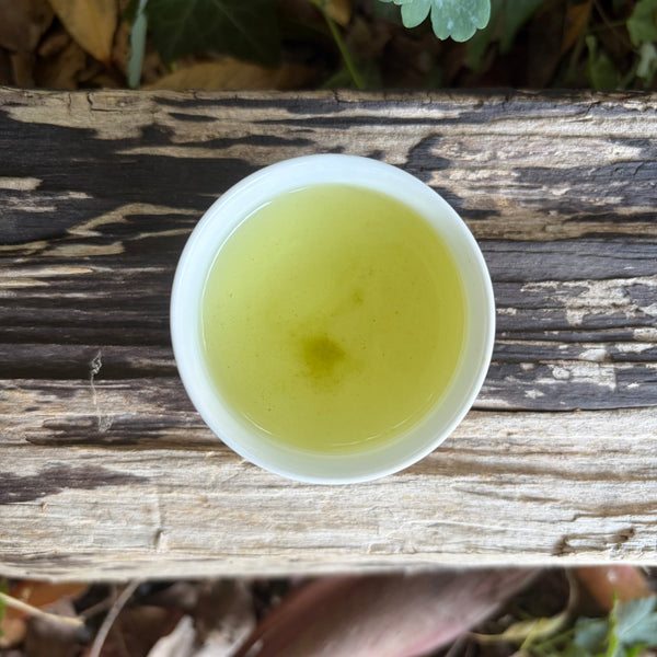 Iizuka Family [Shizouka] Sencha Fukamushi