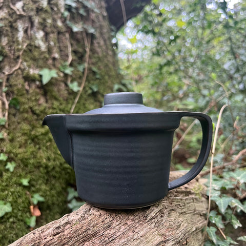 350ml Mino Ware Black teapot with removable basket