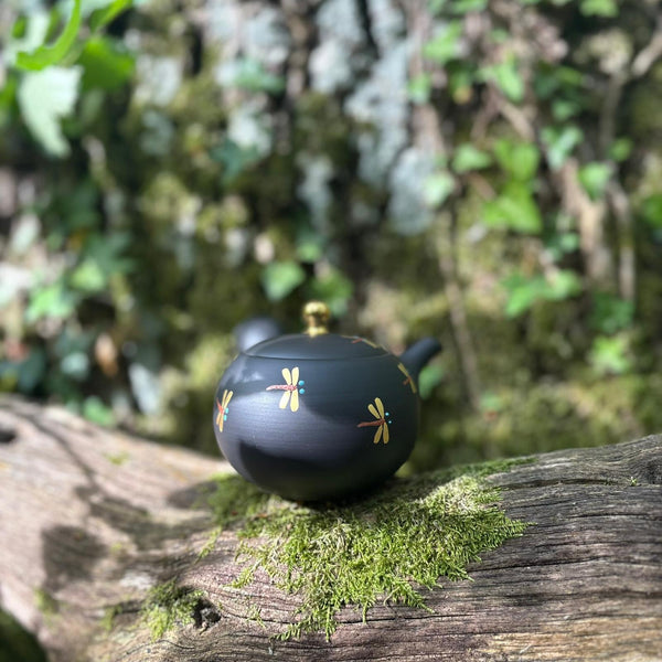 200ml Golden Dragonfly Maru-gata (丸形) Ikomi Kokudei kyusu with sesame strainer [Shōhō Kiln]