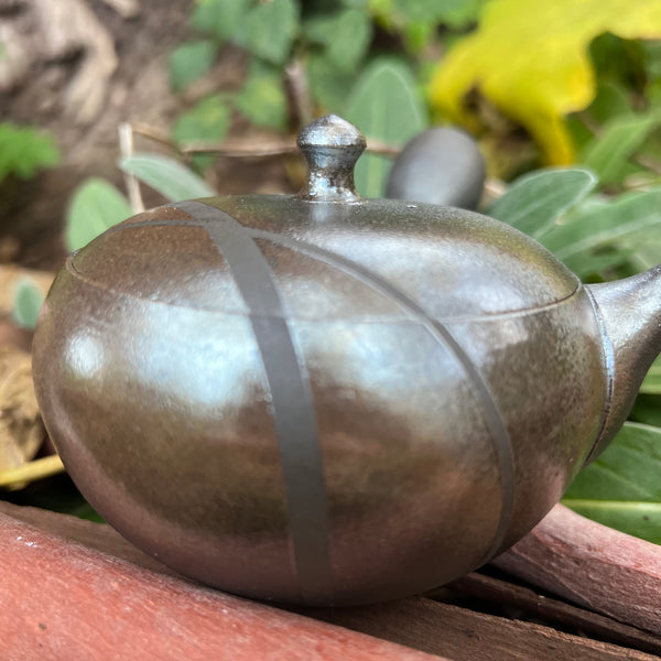Silver with Stripe 170ml Kyusu Teapot with ceramic strainer [Tomohiro Kiln]