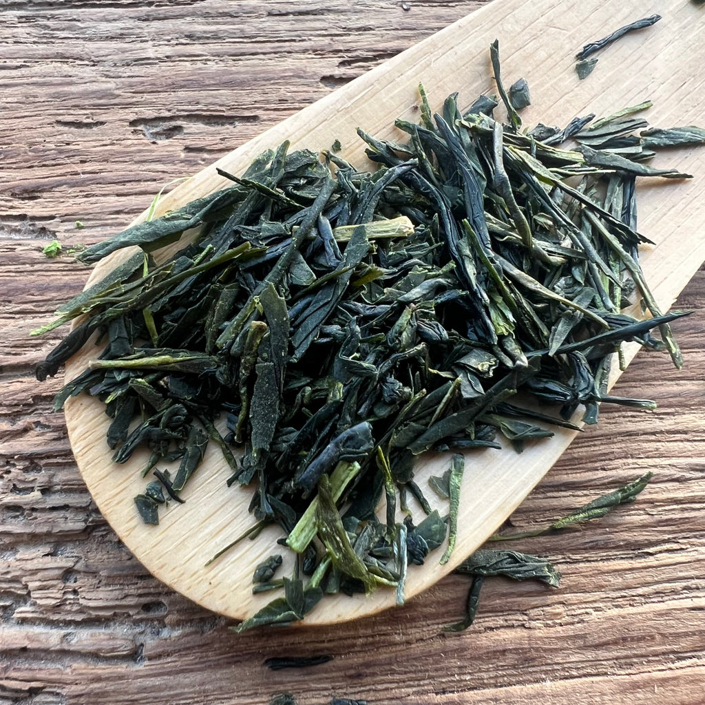 Yuta's 2025 Sencha