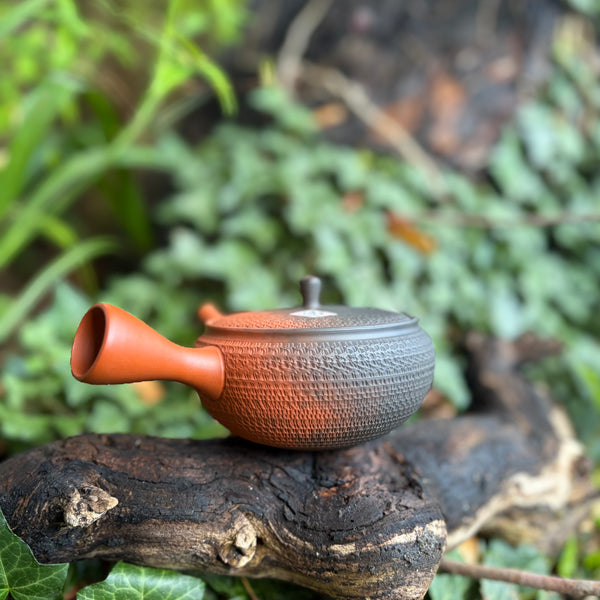 310ml Yōhen (窯変) Bani/Tobikanna (飛び鉋) Shudei Tokoname Hira-Kyusu with sesame filter [Gyokko Kiln]