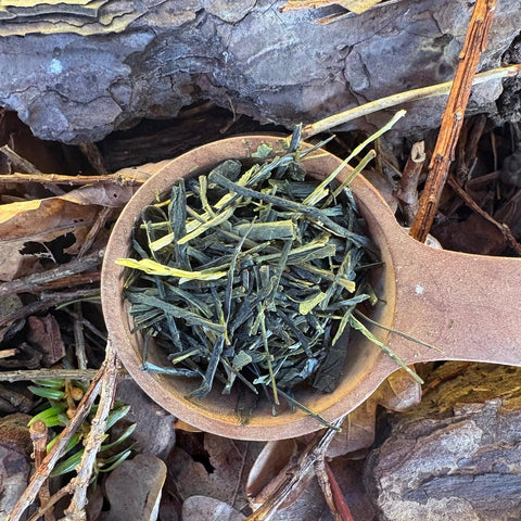 Tokuya’s Sencha Tea (Native Cultivar)