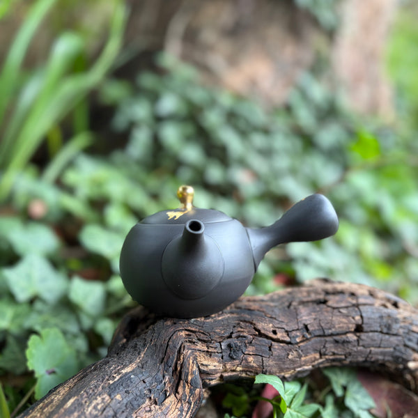 200ml Maru-gata (丸形) Cat & paw Ikomi Kokudei kyusu with sesame strainer [Shōhō Kiln]