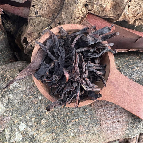 Tsai Brothers Four Seasons Black