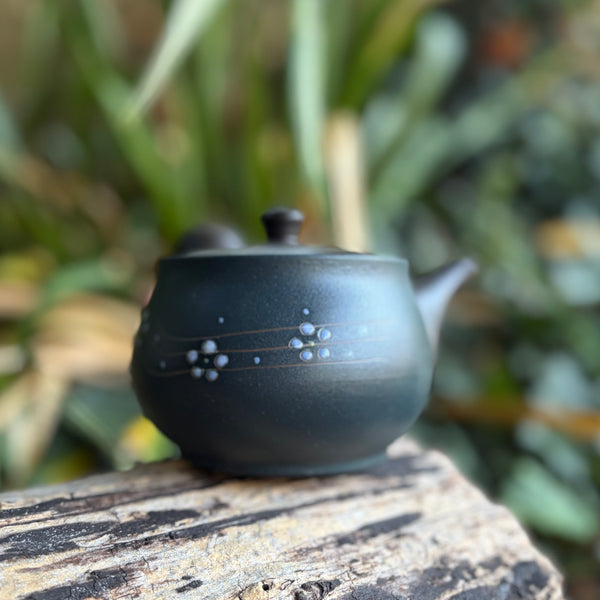 310ml Ikomi [鋳込み] Black Shudei/Kokudei with flower decoration Kyusu Stainless Strainer [Yamafusa Kiln]