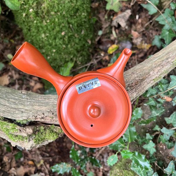 Everyday range : 350ml Red Tokoname Kyusu Teapot with engraving Belt Strainer [Tomisen Kiln]