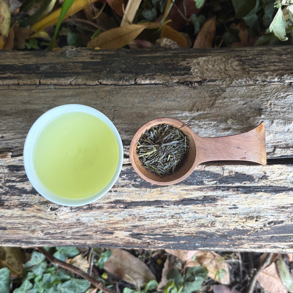 Iwasaki Family [Shizouka] High Grade Sencha