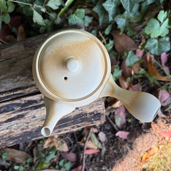 290ml White clay with Irabo Glaze Kyusu with sesame filter [Jinsui Kiln]
