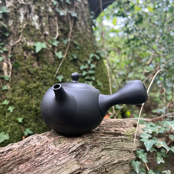 240ml Black gold kyusu with ceramic strainer [Shouhou Kiln]
