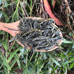 Tokuya’s Kabusecha Tea [Yabukita cultivar]