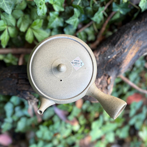 210ml Yakishime Hira-Kyusu with sesame filter [Gyokko Kiln]