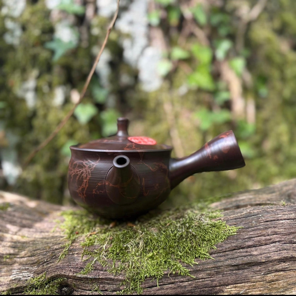 150ml Brown Clay Benishibori Kyusu with sesame filter [Gyokuryū Kiln]