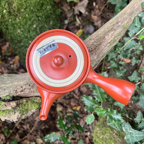Everyday range : 360ml Red Tokoname Kyusu Teapot with white striped lid Belt Strainer [Tomisen Kiln]