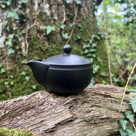 160ml Black Houhin with 160ml Yuzamashi (Takasuke Kiln)
