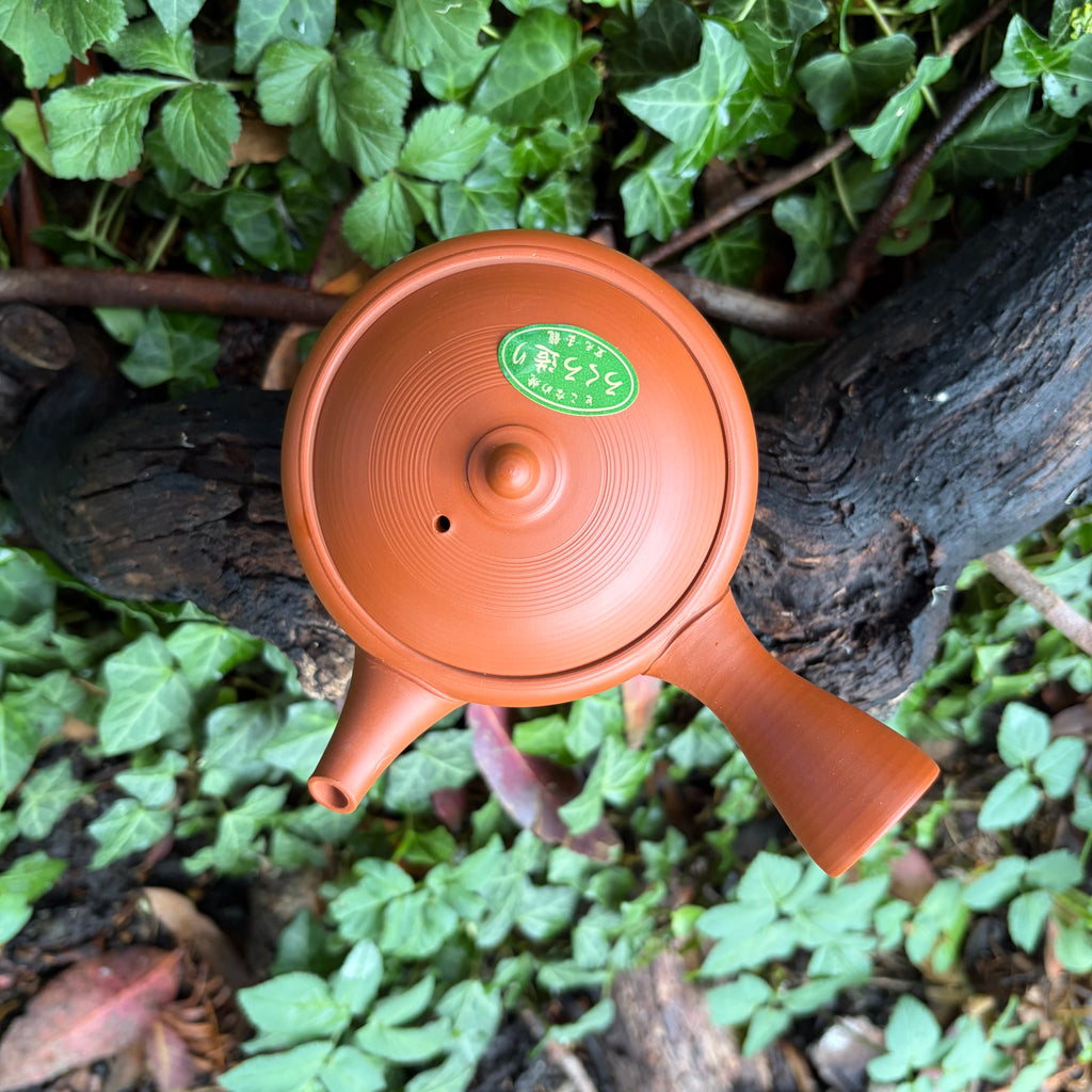 110ml Red Shudei Hira-Kyusu with sesame filter [Gyokko Kiln]