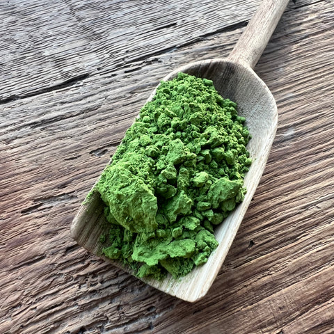 Yuta's 2025 Premium Grade Yabukita Matcha