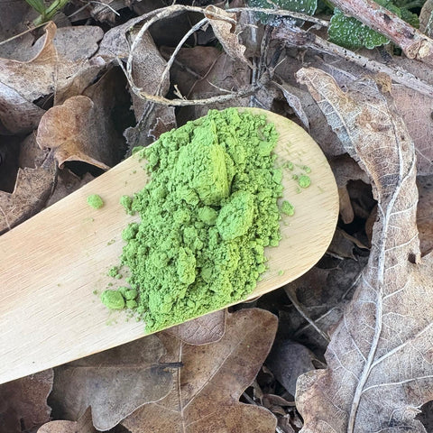 Irie 'Ceremonial' Matcha