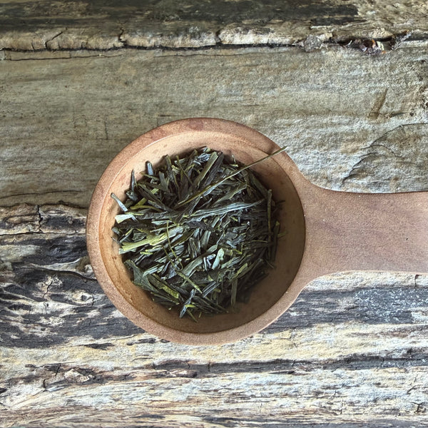 Iwasaki Family [Shizouka] High Grade Sencha