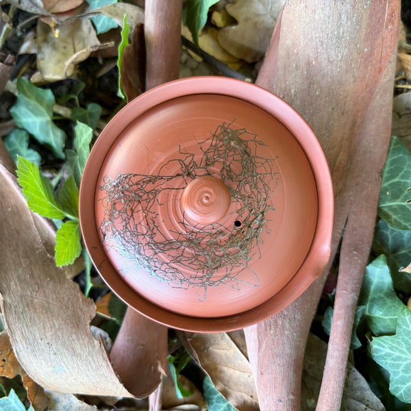50ml Mogake ”藻掛“ Shudei Shiboridashi [Hakusan Kiln]