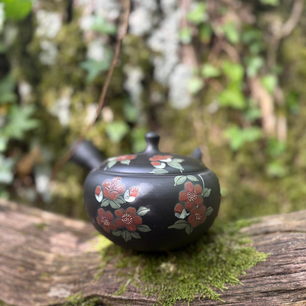 Black shudei (kokudei) kyusu with flowers kyusu /sesame filter [Gyokko Kiln]