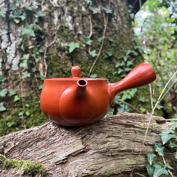 Everyday range : 350ml Red Tokoname Kyusu Teapot with engraving Belt Strainer [Tomisen Kiln]