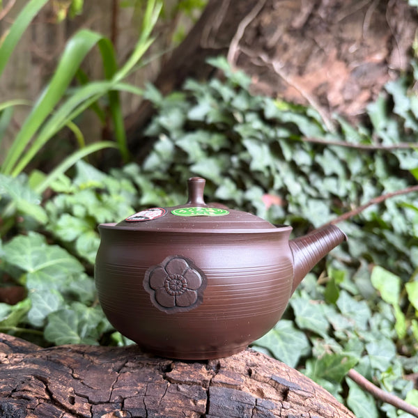 280ml yōhen (窯変) brown clay kyusu with etched lines, plum blossom (梅) engraving and sesame filter [Gyokuryu Kiln]