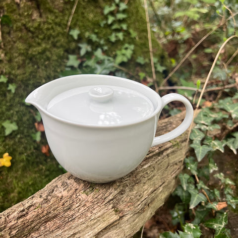 White porcelain 250ml Mino Ware teapot