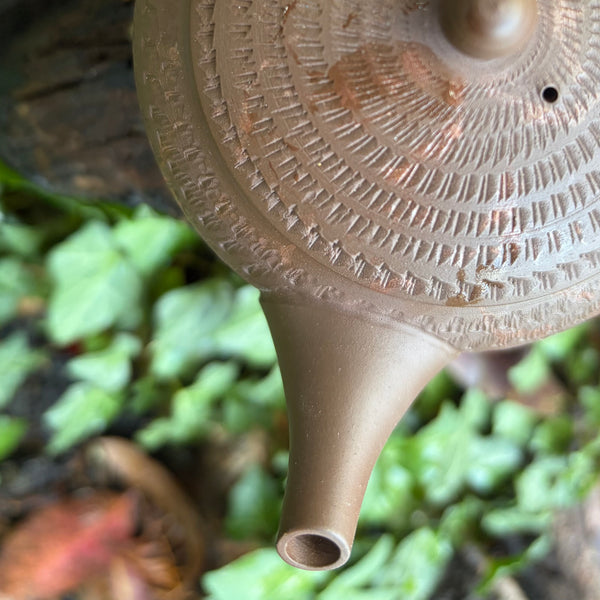 290ml  Yōhen (窯変) Bani / Tobikanna (飛び鉋) Shudei Kyusu with sesame filter [Gyokko Kiln]