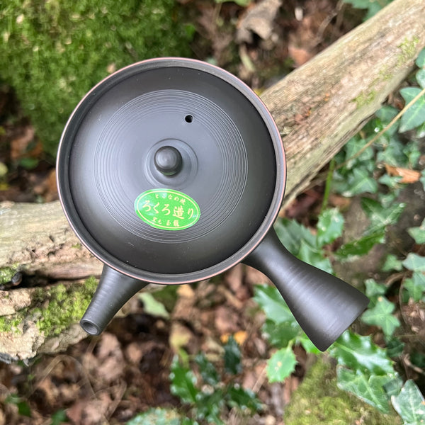 320ml Black with brown rimmed lid Tokoname Kyusu ceramic strainer [Gyokuryuu Kiln]