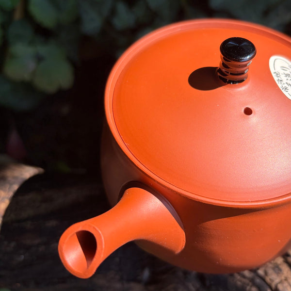 330ml Red Shudei Kyusu with sesame filter & black lid handle [Hokuryu Kiln]
