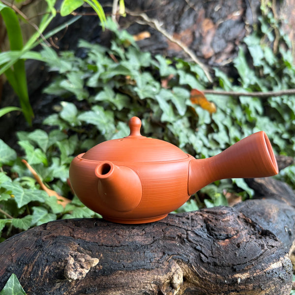 110ml Red Shudei Hira-Kyusu with sesame filter [Gyokko Kiln]