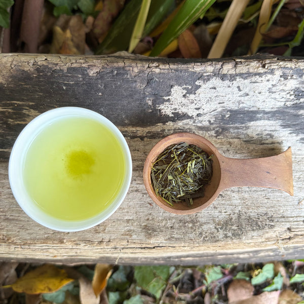 Iizuka Family [Shizouka] Sencha Fukamushi
