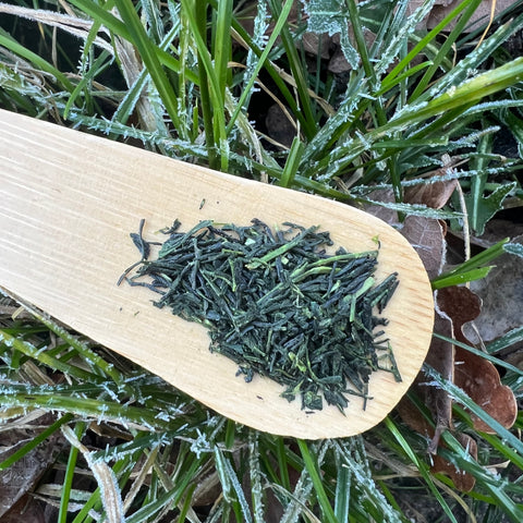 Irie Yame Gyokuro [Saemidori]