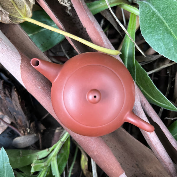 150ml Red Clay Teapot