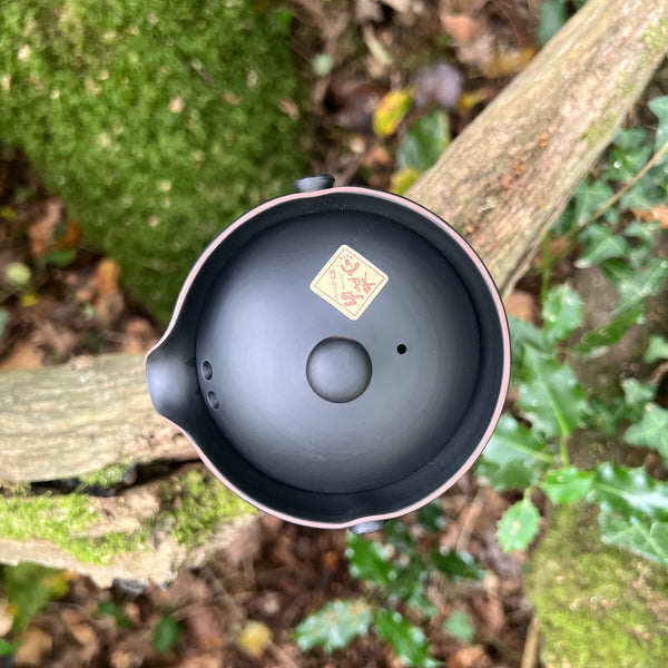 200ml black handle-less pouring teapot (Sekiryuu kiln tokoname)