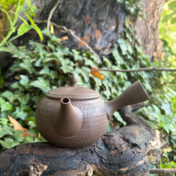 290ml  Yōhen (窯変) Bani / Tobikanna (飛び鉋) Shudei Kyusu with sesame filter [Gyokko Kiln]