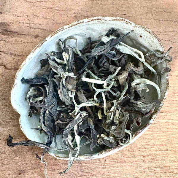2025 Nepal White Tea